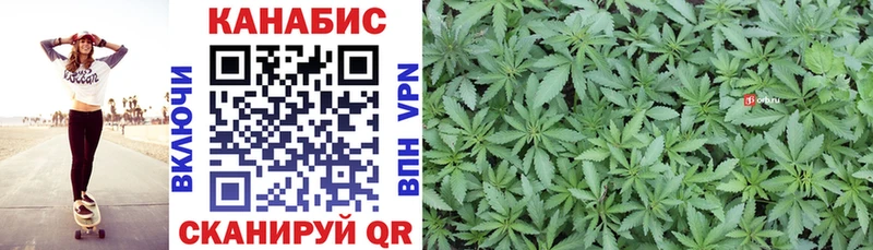 Где купить наркотики Новозыбков Галлюциногенные грибы  APVP  ГАШИШ  Каннабис  Меф мяу мяу  COCAIN 
