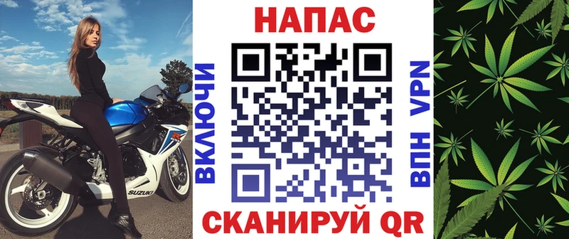 ОМГ ОМГ зеркало  Новозыбков  Бошки Шишки VHQ 